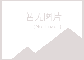 大新县沉淀工程有限公司